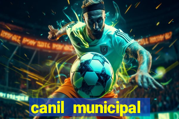 canil municipal porto alegre